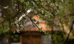 Skansen Kolbuszowa: Godziny, bilety, dojazd. Jak zaplanować wycieczkę?