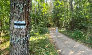 Granica czy Białowieża? Przewodnik po skansenach puszczańskich