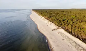 Pogorzelica: Gdzie zjeść? Moje sprawdzone miejsca i porady!