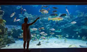 Oceanarium w Łebie: Czy warto? Co musisz wiedzieć przed wizytą