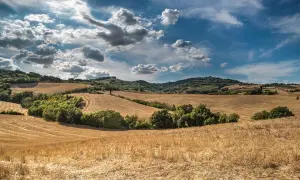 Jelenia Góra: Gdzie zjeść? Odkryj najlepsze restauracje i smaki regionu