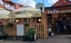 Jastrzębia Góra: Gdzie zjeść? Ryby, widoki i smaki na każdą kieszeń