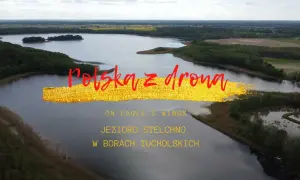 Jezioro Wytle: Tajemnicze "słone jezioro" w Borach Tucholskich?