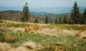 Poręba Wielka: Atrakcje Gorców na każdą porę roku. Zaplanuj urlop!