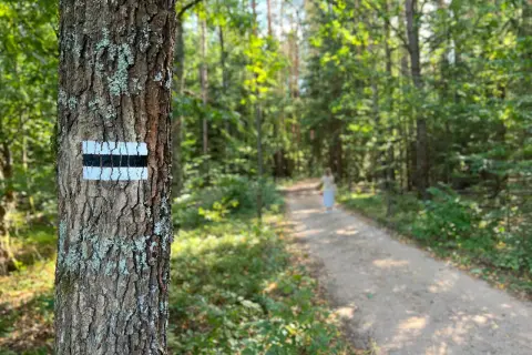 Granica czy Białowieża? Przewodnik po skansenach puszczańskich