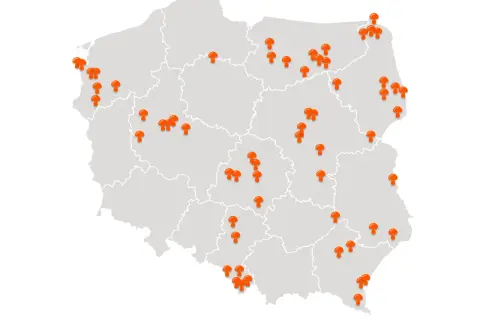 Mapa Polski z zaznaczonymi pomarańczowymi grzybami w różnych regionach.