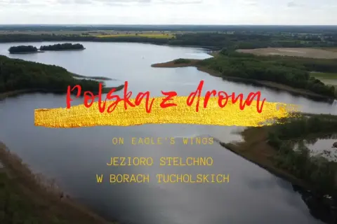 Jezioro Wytle: Tajemnicze "słone jezioro" w Borach Tucholskich?