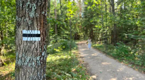 Granica czy Białowieża? Przewodnik po skansenach puszczańskich