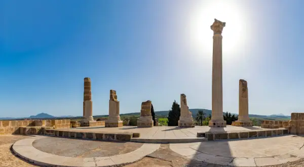Hammamet: Planujesz wakacje? Zobacz najlepsze atrakcje i wycieczki!