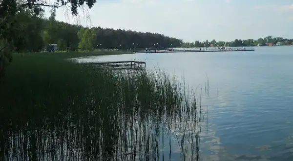 Lubelskie jeziora: Od kurortów po dzikie plaże gdzie na urlop?
