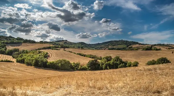 Jelenia Góra: Gdzie zjeść? Odkryj najlepsze restauracje i smaki regionu