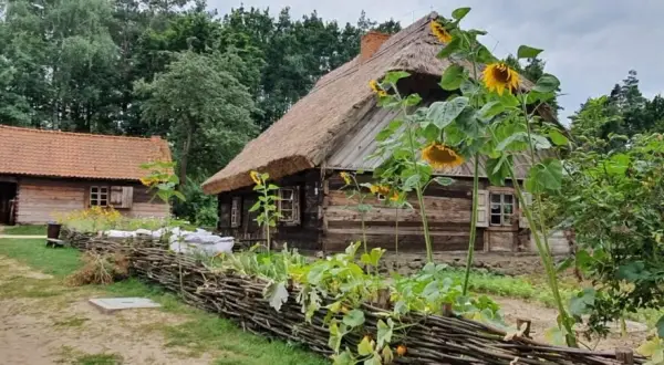 Skansen w Sierpcu: Kompletny przewodnik po Muzeum Wsi Mazowieckiej