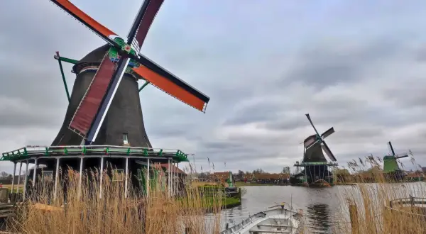 Zaanse Schans: Holenderskie wiatraki czy warto? Kompletny przewodnik