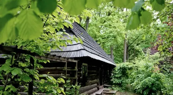 Skansen Pszczyna: Ceny, godziny, dojazd i co warto zobaczyć?
