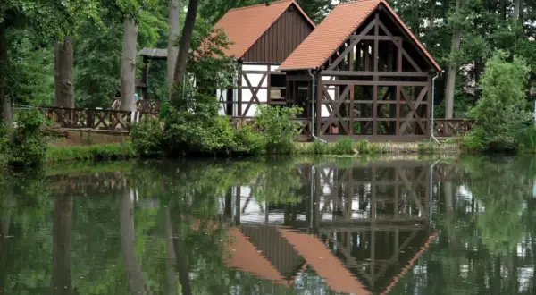 Skansen w Ochli: Godziny, bilety, atrakcje. Zaplanuj wizytę!