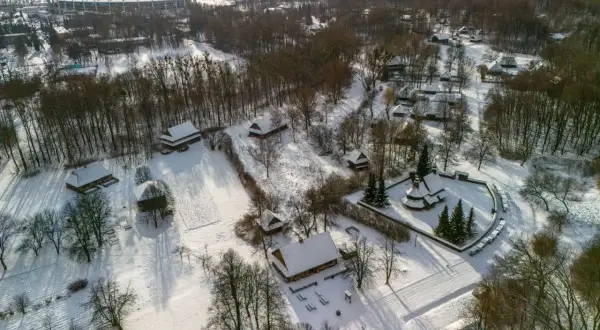 Skansen Forest Cholerzyn: Planujesz wizytę? Sprawdź, co musisz wiedzieć!