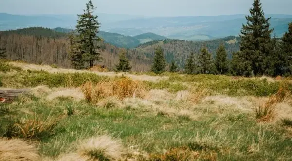 Poręba Wielka: Atrakcje Gorców na każdą porę roku. Zaplanuj urlop!