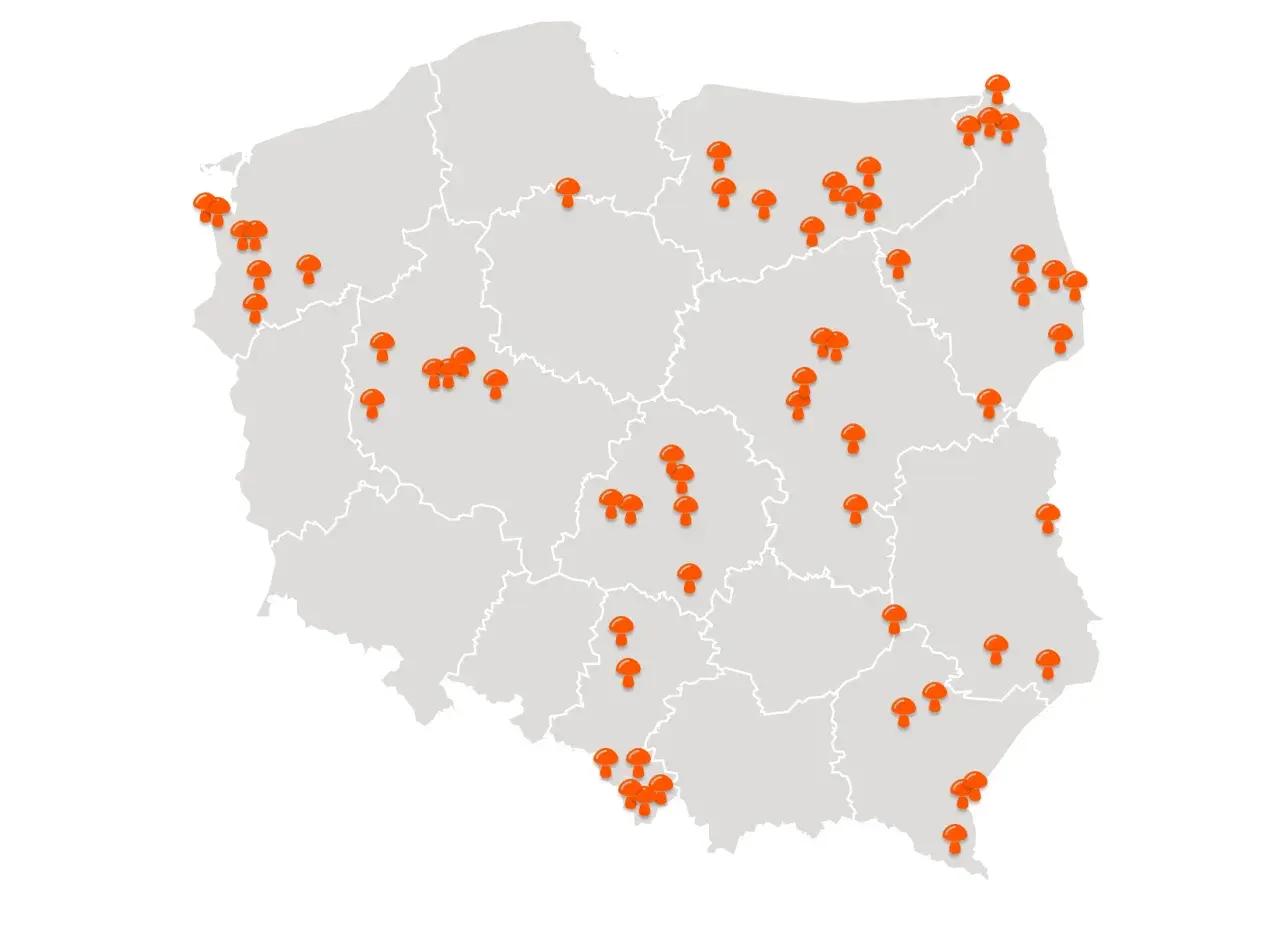 Mapa Polski z zaznaczonymi pomarańczowymi grzybami w różnych regionach.