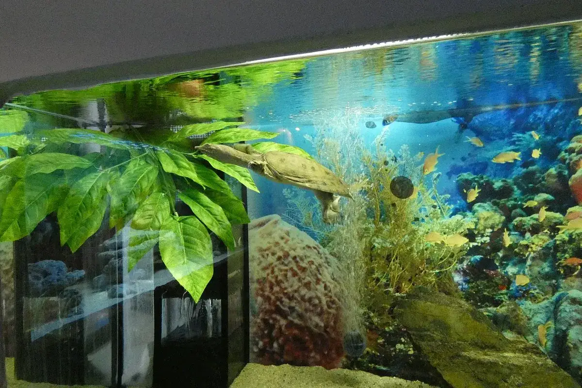 Dzieci w Oceanarium Łeba