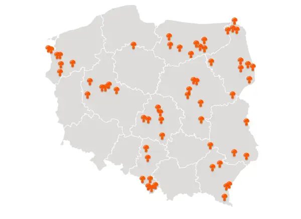 Mapa Polski z zaznaczonymi pomarańczowymi grzybami w różnych regionach.